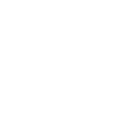 dog friendly