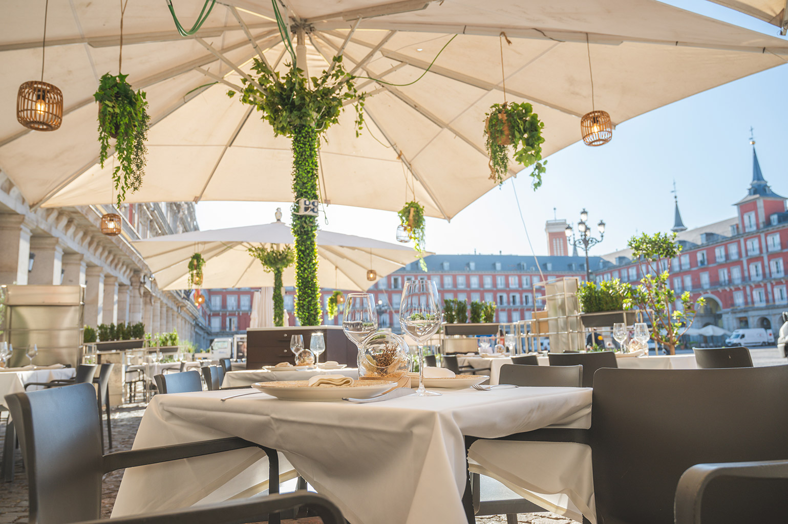 eventos para empresa plaza mayor